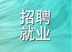 2025年家具行业招聘就业信息一览